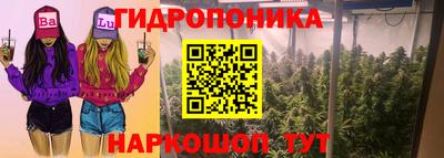 шишки Гагарин