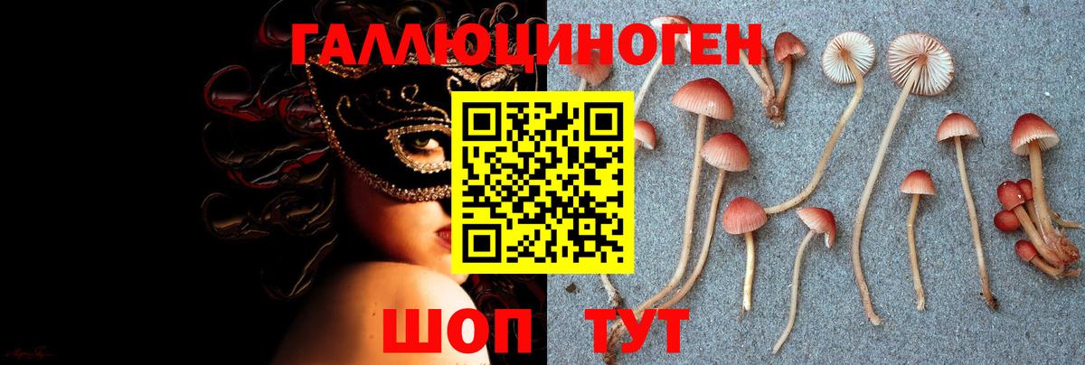 Псилоцибиновые грибы Cubensis Дзержинск